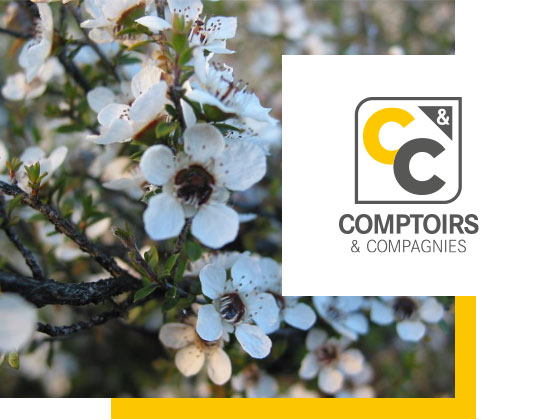 Comptoirs et Compagnies, excellent par nature.